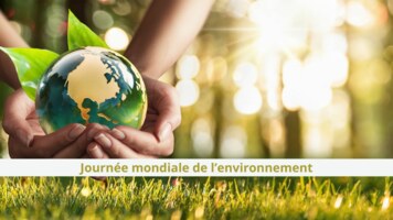 Journée Mondiale de l'Environnement 2024 : Une nouvelle ère pour la responsabilité sociétale des entreprises